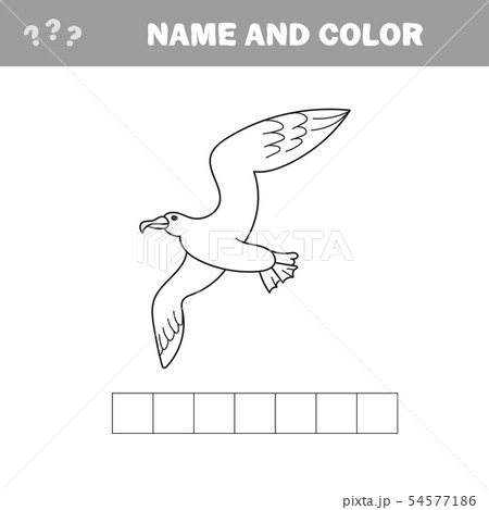Educational game coloring book seagull bird vector illustration Educational game coloring book seagull bird vector illustration 54577186