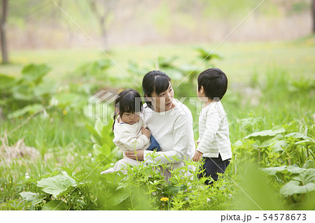 自然の中で遊ぶ親子の写真素材 [54578673] - PIXTA