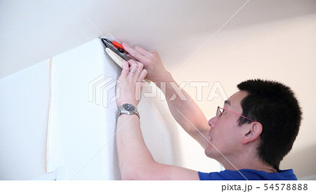 クロス張替え 54578888