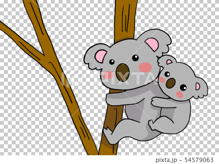 考拉父母和孩子 54579063