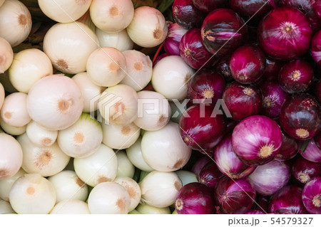 white and red onions at farmers market 54579327