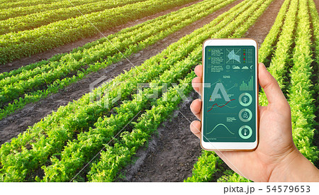 A hand is holding a smartphone with infographics A hand is holding a smartphone with infographics 54579653