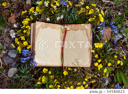 Open book with old shabby pages Open book with old shabby pages 54580623