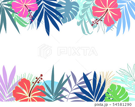 熱帯植物 54581290