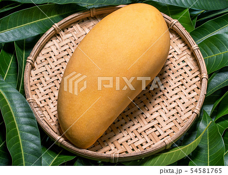 マンゴー マンゴ フルーツ 54581765