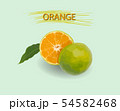 Orange cut in half on a green background 54582468