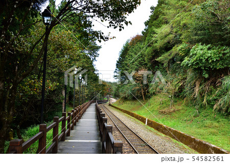 阿里山 嘉義 電車 54582561