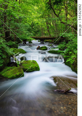 奥入瀬渓流 54582892