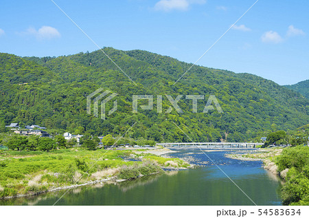 京都　嵐山 初夏　緑と青空 54583634