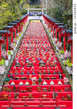 かつうらビッグひな祭り (千葉県勝浦市 遠見岬神社) 2019年2月 かつうらビッグひな祭り (千葉県勝浦市 遠見岬神社) 2019年2月 54583650