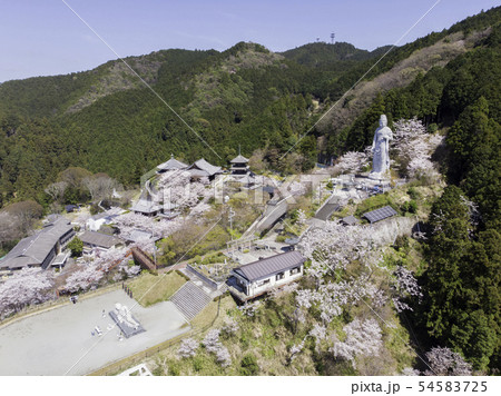 [奈良県]　壷阪寺　桜　春　空撮 54583725