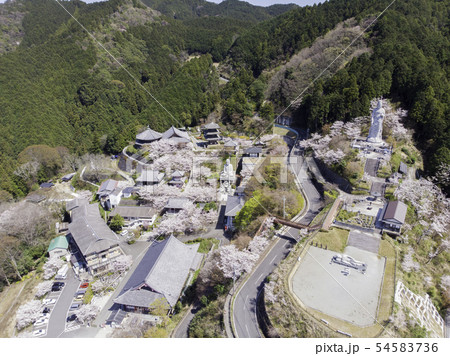 [奈良県]　壷阪寺　桜　春　空撮 54583736