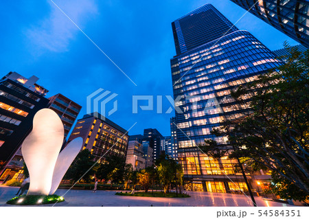 日本の東京都市景観 ワテラスなどを望む(夜景) 日本の東京都市景観 ワテラスなどを望む(夜景) 54584351