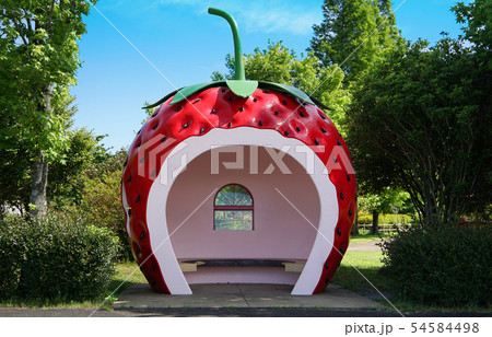 イチゴの建物のバス停 イチゴの建物のバス停 54584498