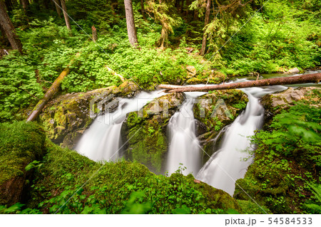 Olympic National Park Olympic National Park 54584533