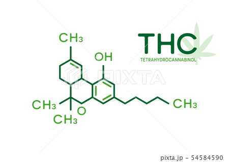 THC molecular formula. Tetrahydrocannabinol molecule structure on white background. THC molecular formula. Tetrahydrocannabinol molecule structure on white background. 54584590