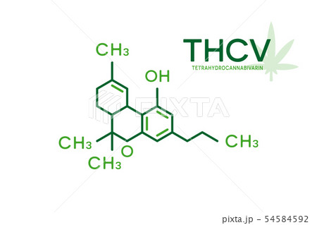 THCV Molecular Formula. Tetrahydrocannabivarin...のイラスト素材 [54584592] - PIXTA