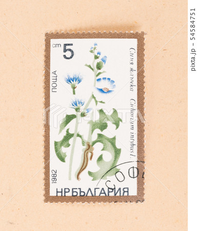 RUSSIA - CIRCA 1982 RUSSIA - CIRCA 1982 54584751