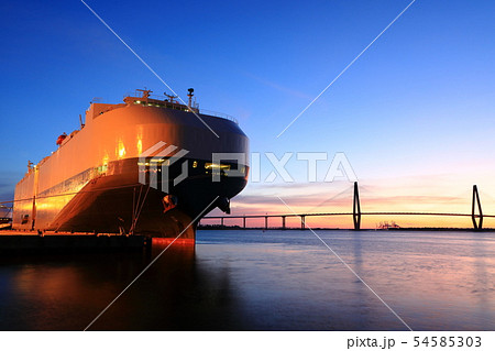 アメリカ　東海岸　サウスカロライナ　チャールストン　橋 54585303