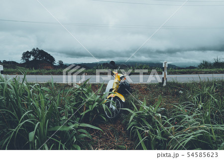 Mountain roads and trees in the rainy season Mountain roads and trees in the rainy season 54585623