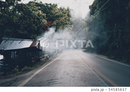 Mountain roads and trees in the rainy season Mountain roads and trees in the rainy season 54585637