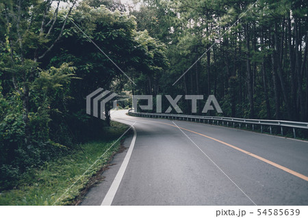 Mountain roads and trees in the rainy season Mountain roads and trees in the rainy season 54585639