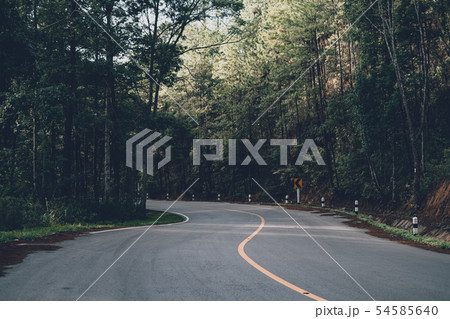 Mountain roads and trees in the rainy season Mountain roads and trees in the rainy season 54585640
