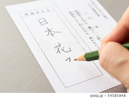 選挙 投票 投票用紙 選挙 投票 投票用紙 54585848