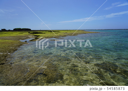 沖縄の美しいビーチ（夏） 54585873