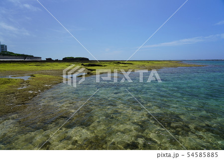 沖縄の美しいビーチ（夏） 54585885