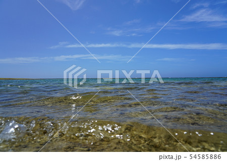 沖縄の美しいビーチ(夏) 沖縄の美しいビーチ(夏) 54585886