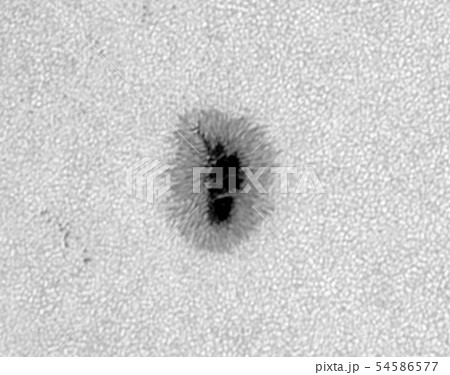 太陽黒点 太陽黒点 54586577