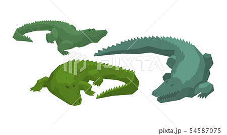 Crocodile vector cartoon crocodilian character of green alligator carnivore illustration animalistic Crocodile vector cartoon crocodilian character of green alligator carnivore illustration animalistic 54587075
