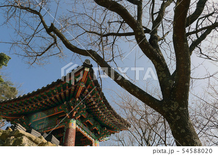 風景 宗教 寺院 54588020