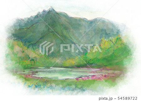 ハクサンコザクラ咲く百草の池【越後駒ヶ岳】より望む荒沢岳 54589722