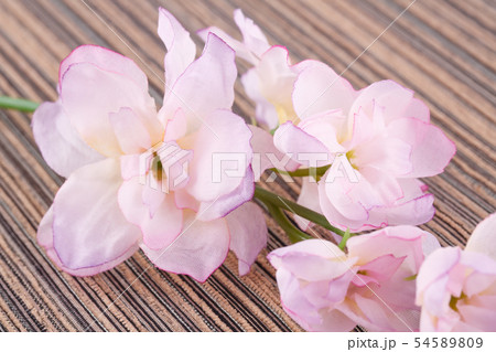 Flowers Flowers 54589809