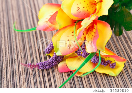Flowers Flowers 54589810