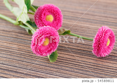 Flowers 54589811