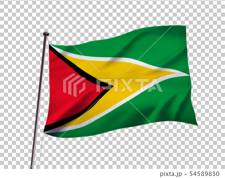 圭亞那國旗圖像 54589830