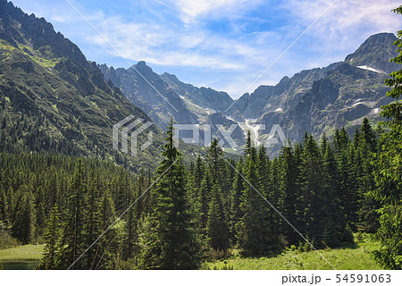 Sunny day view of the Tatra mountains on the border of Poland and Slovakia 54591063