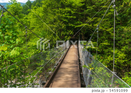 阿寺渓谷　中八丁吊り橋 54591099