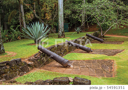 Fortress and cannons amid tropical landscape Fortress and cannons amid tropical landscape 54591351