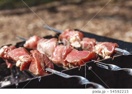 Meat skewers for kebabs grilled n grill on the 54592215