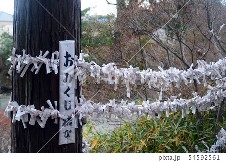 廣田神社の御みくじ結び-1 54592561
