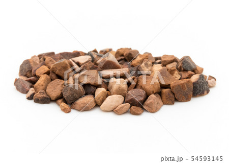 コーラナッツ(コラノキの種子): Kola nuts (Cola nuts) コーラナッツ(コラノキの種子): Kola nuts (Cola nuts) 54593145
