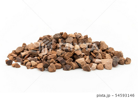 コーラナッツ(コラノキの種子): Kola nuts (Cola nuts) コーラナッツ(コラノキの種子): Kola nuts (Cola nuts) 54593146