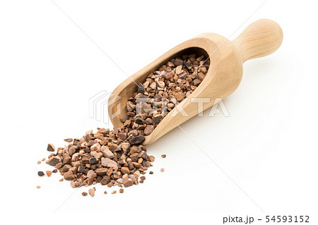 コーラナッツ(コラノキの種子): Kola nuts (Cola nuts) コーラナッツ(コラノキの種子): Kola nuts (Cola nuts) 54593152