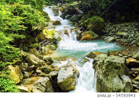 夏の渓流4 夏の渓流4 54593943