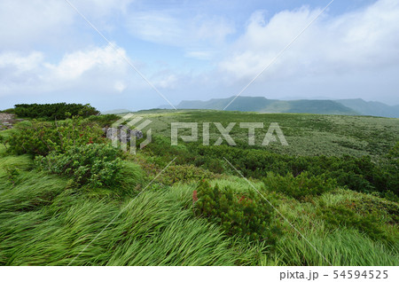 函岳山頂の風景(北海道・美深町) 函岳山頂の風景(北海道・美深町) 54594525