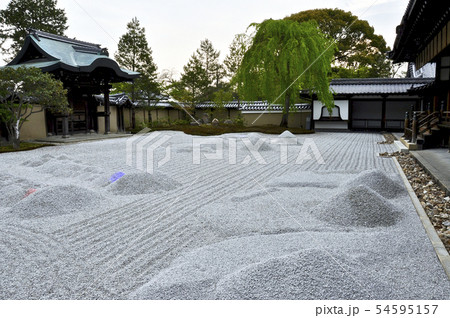 京都 高台院方丈前庭の勅使門と庭 京都 高台院方丈前庭の勅使門と庭 54595157